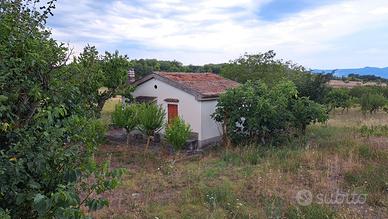 Ricovero attrezzi categoria C/2 e terreno