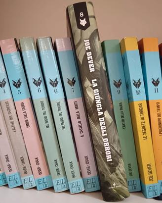 13x Librogame Lupo Solitario