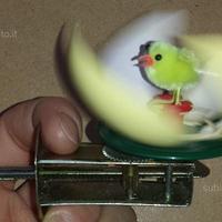 Gioco animato: uovo con pulcino