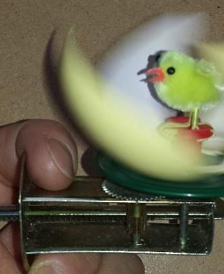 Gioco animato: uovo con pulcino