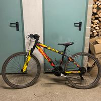 Bicicletta vertek