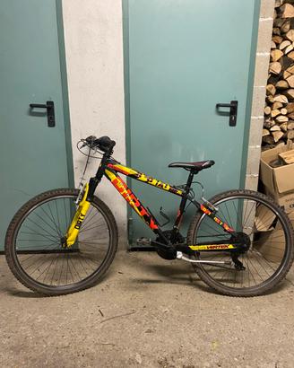 Bicicletta vertek