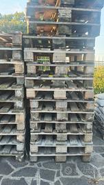 Bancali Epal 120x80