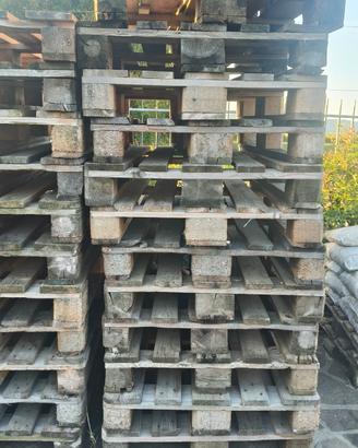 Bancali Epal 120x80