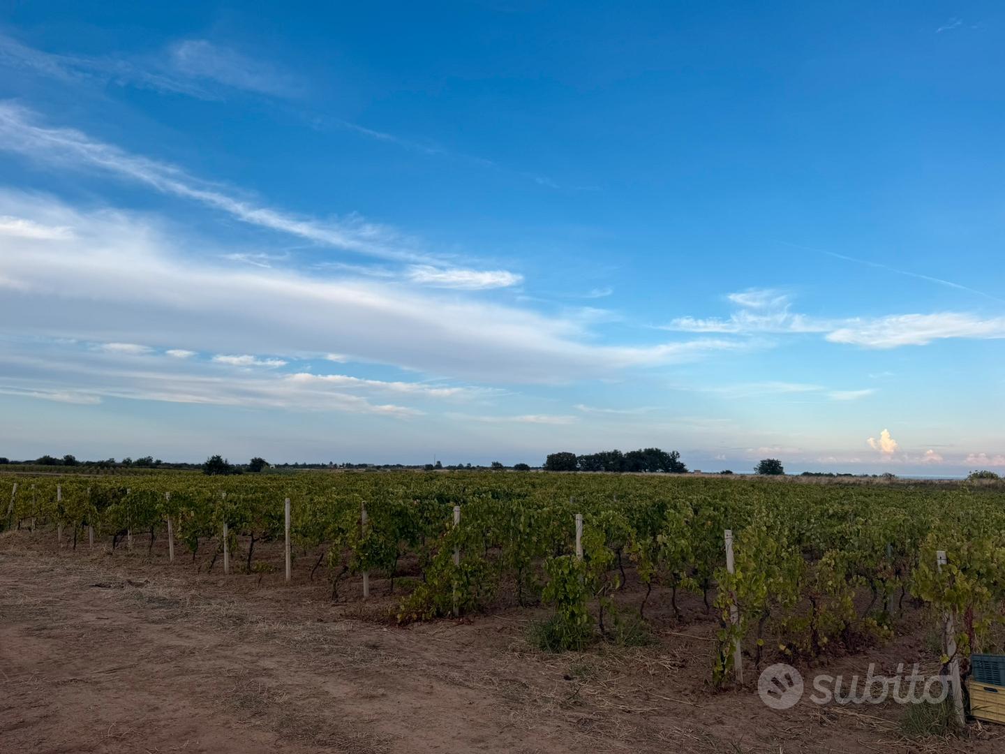Terreno Agricolo - Vista 2