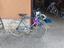 Immagine 4