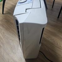 deumidificatore De Longhi 