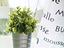 Immagine 19