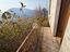Immagine 22