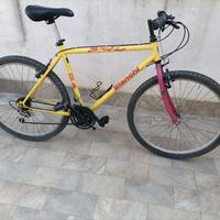 bicicletta mtb