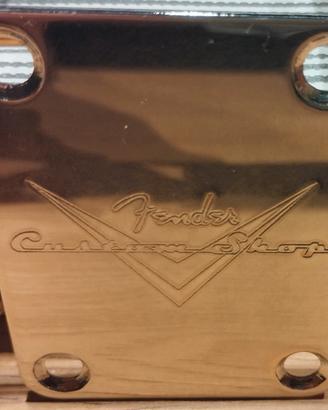 fender piastra manico