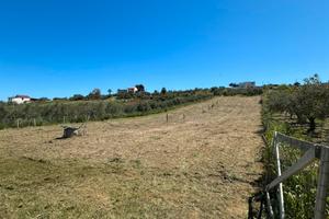 Terreno ad Alcamo di 3000mq