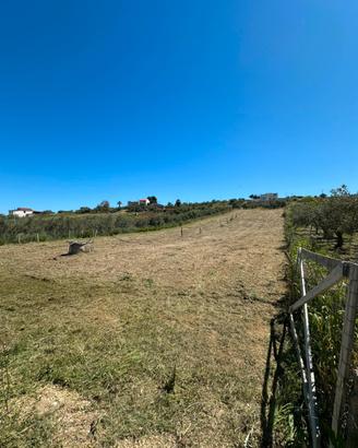Terreno ad Alcamo di 3000mq