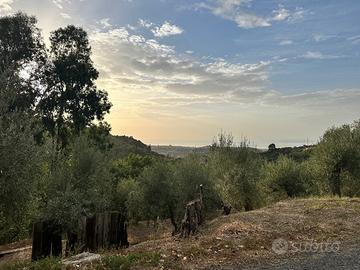 Terreno Agricolo Barcellona Pozzo di Gotto