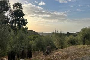 Terreno Agricolo Barcellona Pozzo di Gotto