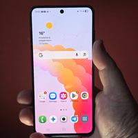 Samsung S21fe 8/128 (vetro crepato) 