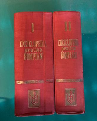 Dizionario Ita-Eng e Ita-Fra, due enciclopedie-diz