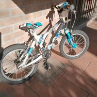 Bicicletta bambino 4/5/6 anni