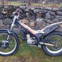 Beta Evo 80 Senior