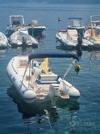 BWA 570 SUZUKI 40/60 cv ore 290 NO PATENTE pluriac