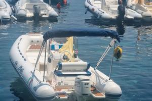 BWA 570 SUZUKI 40/60 cv ore 290 NO PATENTE pluriac