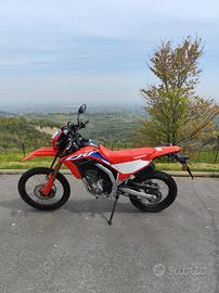 CRF 300 L 