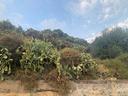 terreno-con-rudere-santa-maria-di-licordia