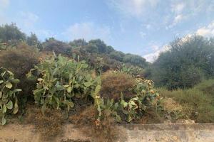 terreno con rudere Santa Maria di Licordia