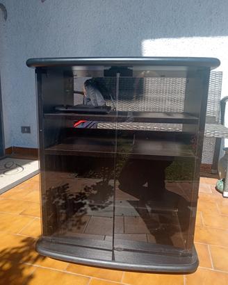Mobile tv