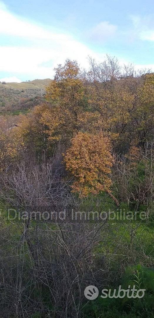 Proprietà agricola con casolare a Linguaglossa - Vista 3