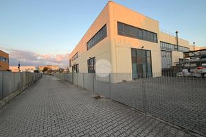 CAPANNONE A VIAREGGIO