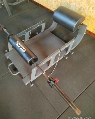 hip thrust  SIDEA  ,  IMPULSE....