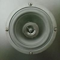 Altoparlanti coassiali Celestion 