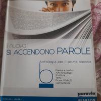 Il nuovo si accendono parole