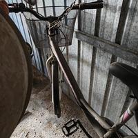 bici donna