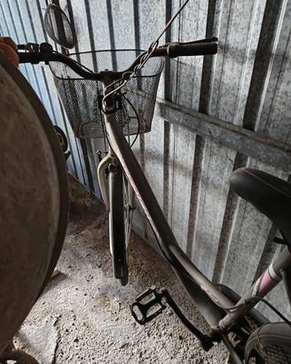 bici donna