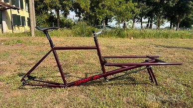 Telaio cargo bike Omnium