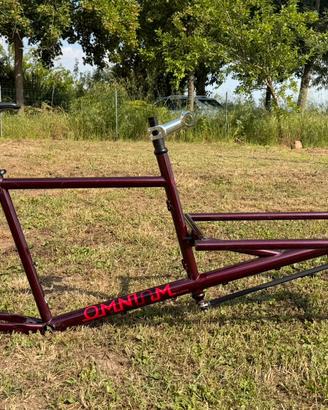 Telaio cargo bike Omnium