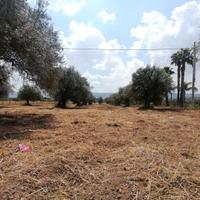 Terreno "CS" in c.da Billona - Comiso Rif. T293