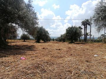 Terreno "CS" in c.da Billona - Comiso Rif. T293