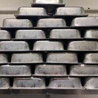 Bacinella Gelato 33x25x8