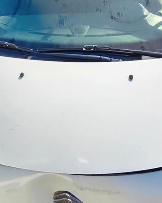 CITROEN C3 2010 COFANO ANTERIORE