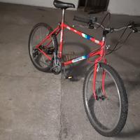Mountain bike Atala