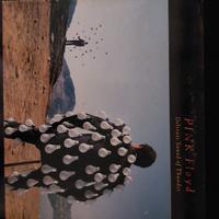 Doppio Album Pink Floyd Delicate of Sound