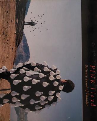 Doppio Album Pink Floyd Delicate of Sound