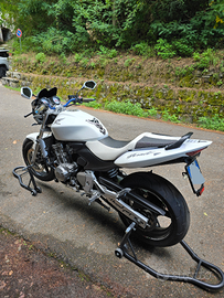 Honda Hornet 600