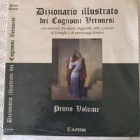 Dizionario illustrato dei cognomi veronesi
