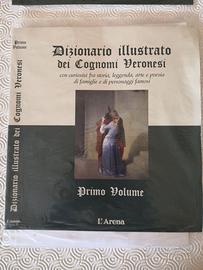 Dizionario illustrato dei cognomi veronesi