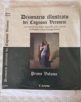 Dizionario illustrato dei cognomi veronesi