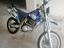 Immagine 2